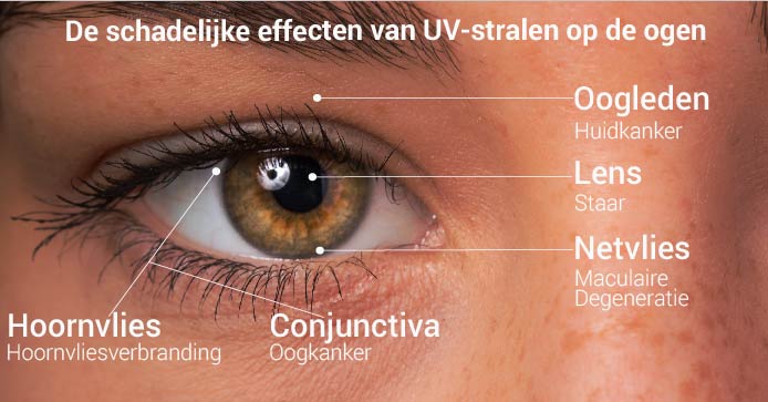 De schadelijke effecten van UV-stralen op de ogen