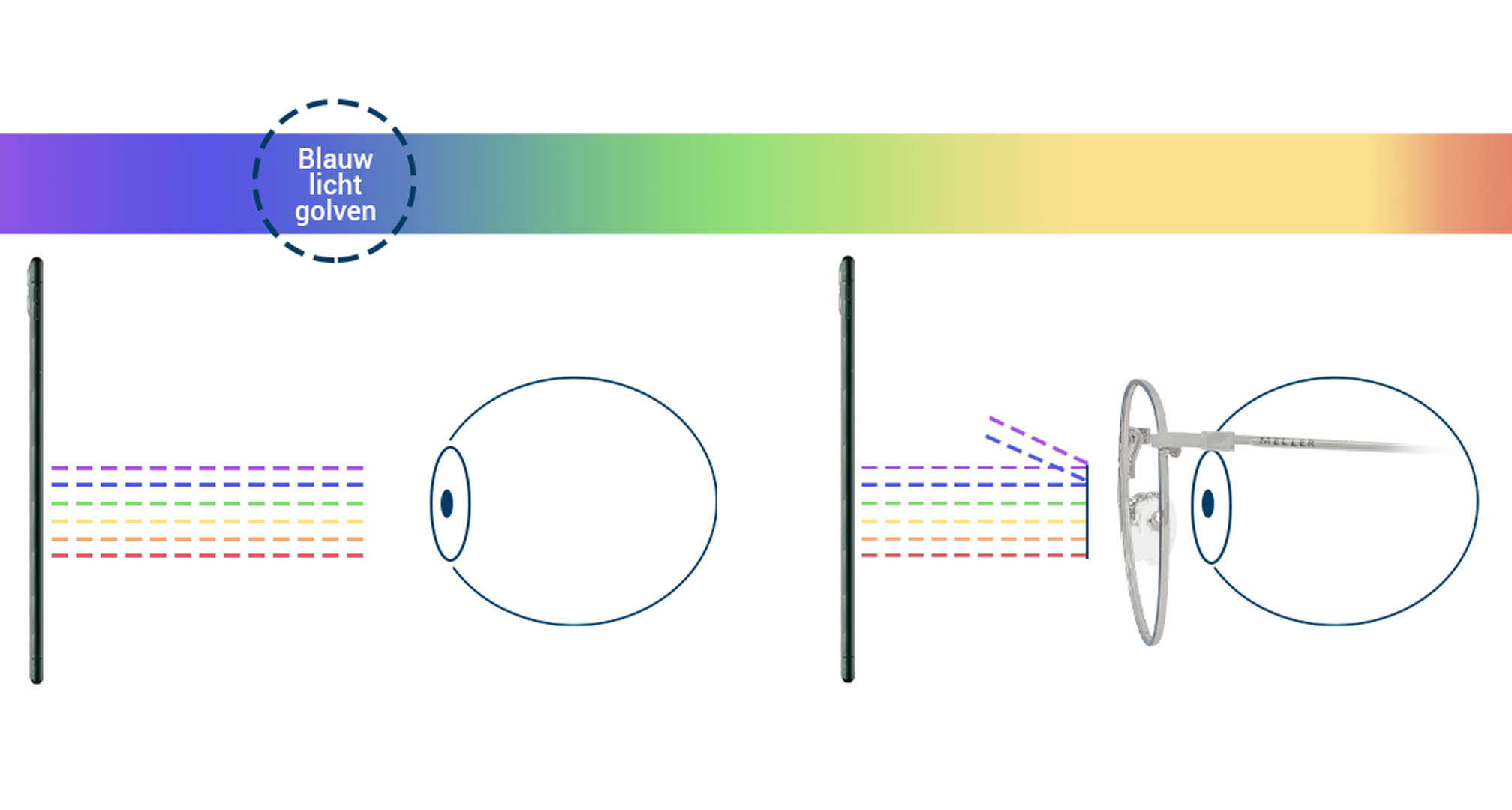 How blue light filter works