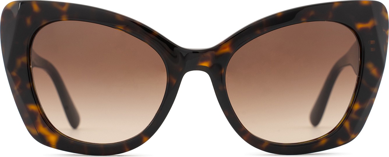 Dolce and gabbana cat sales eye