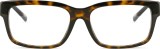 Dolce & Gabbana 0DG3352 502 57 22197