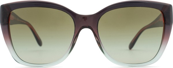 Emporio Armani EA 4198 59898E 55