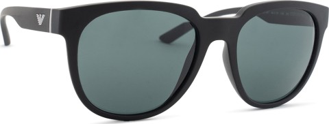 Emporio Armani EA 4205 500187 55