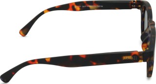 Izipizi Sun Junior #C Tortoise (voor 7 - 11 jaar)
