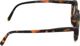 Izipizi Sun Kids #D Tortoise (voor 3–5 jaar) 47175