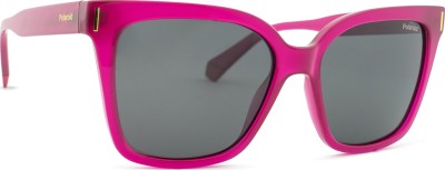 PLD 6191/S Polarized gafas de sol Carey oscuro | VisionDirecta CL