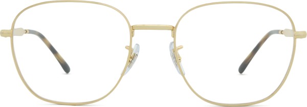 Ray-Ban 0RX6534 2500 53