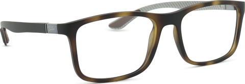 Ray-Ban 0RX8908 5200 55