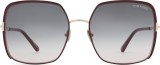 Tom Ford Raphaela FT1006 69W 60 Voorkant product